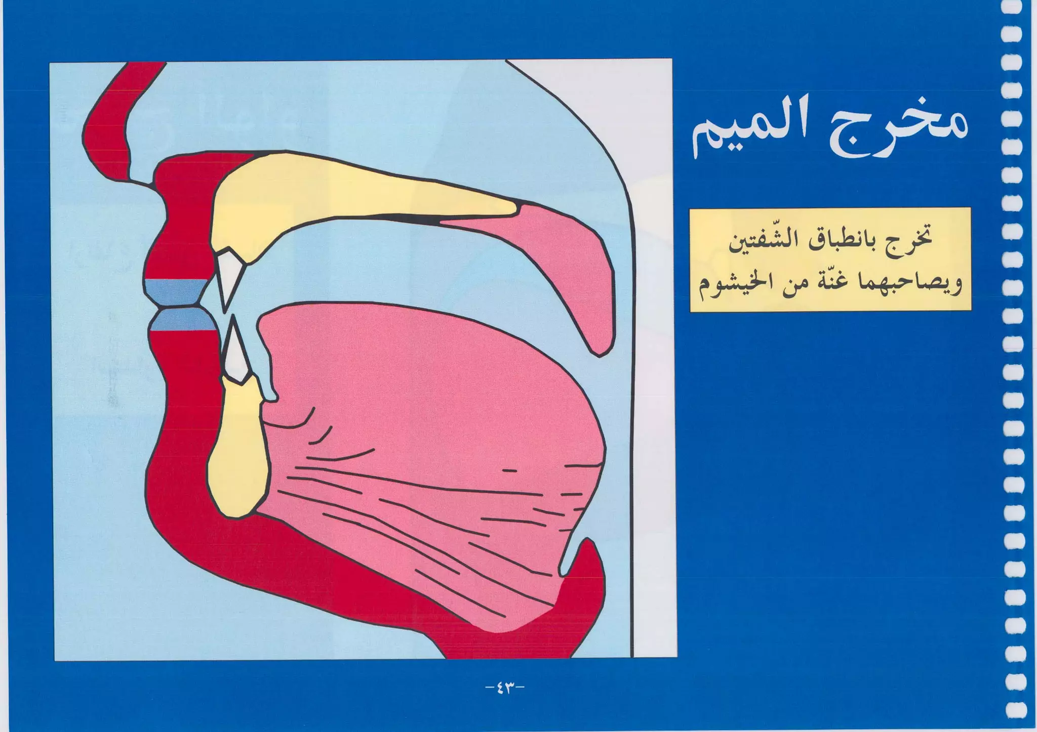 أطلس التجويد