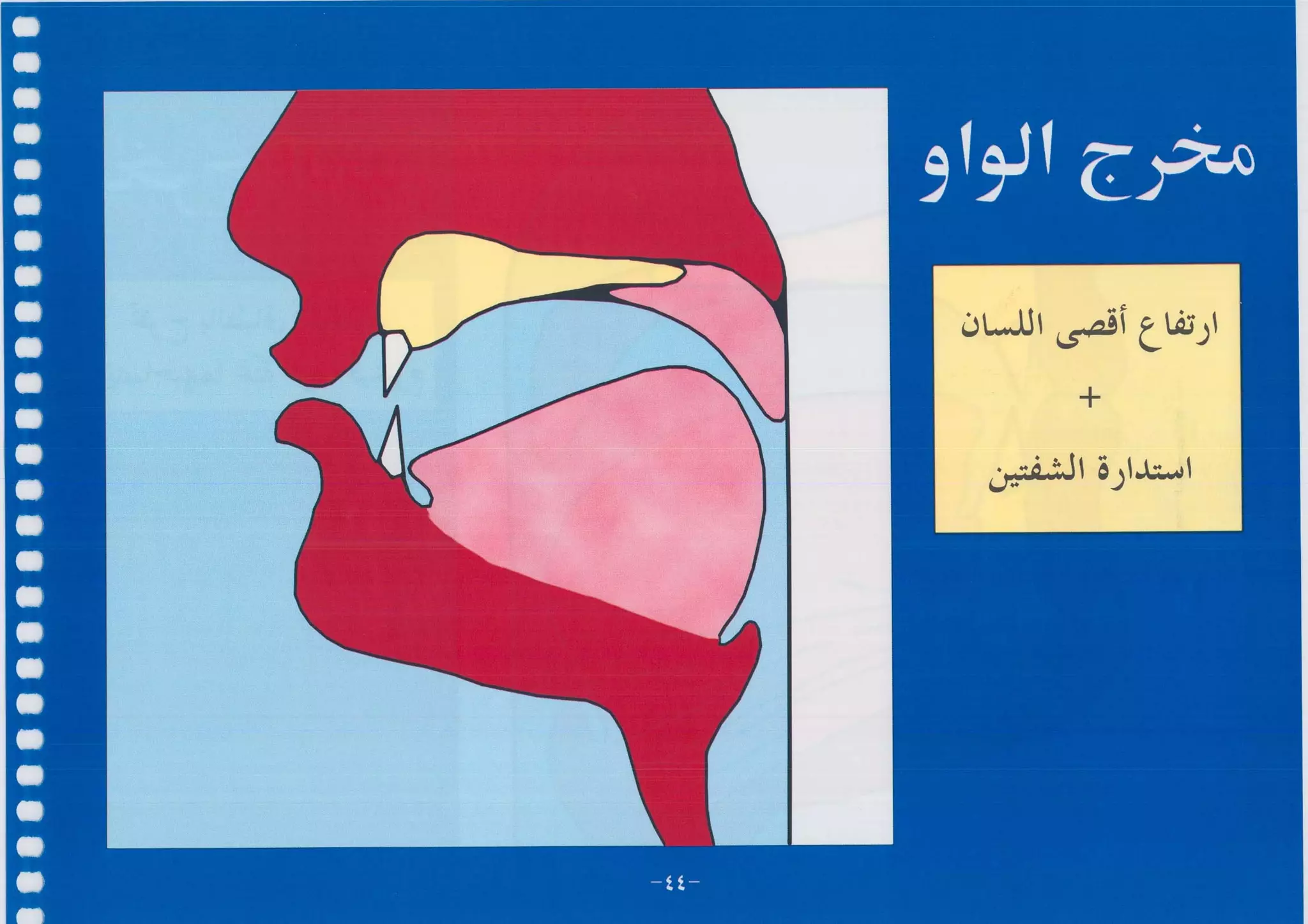 أطلس التجويد