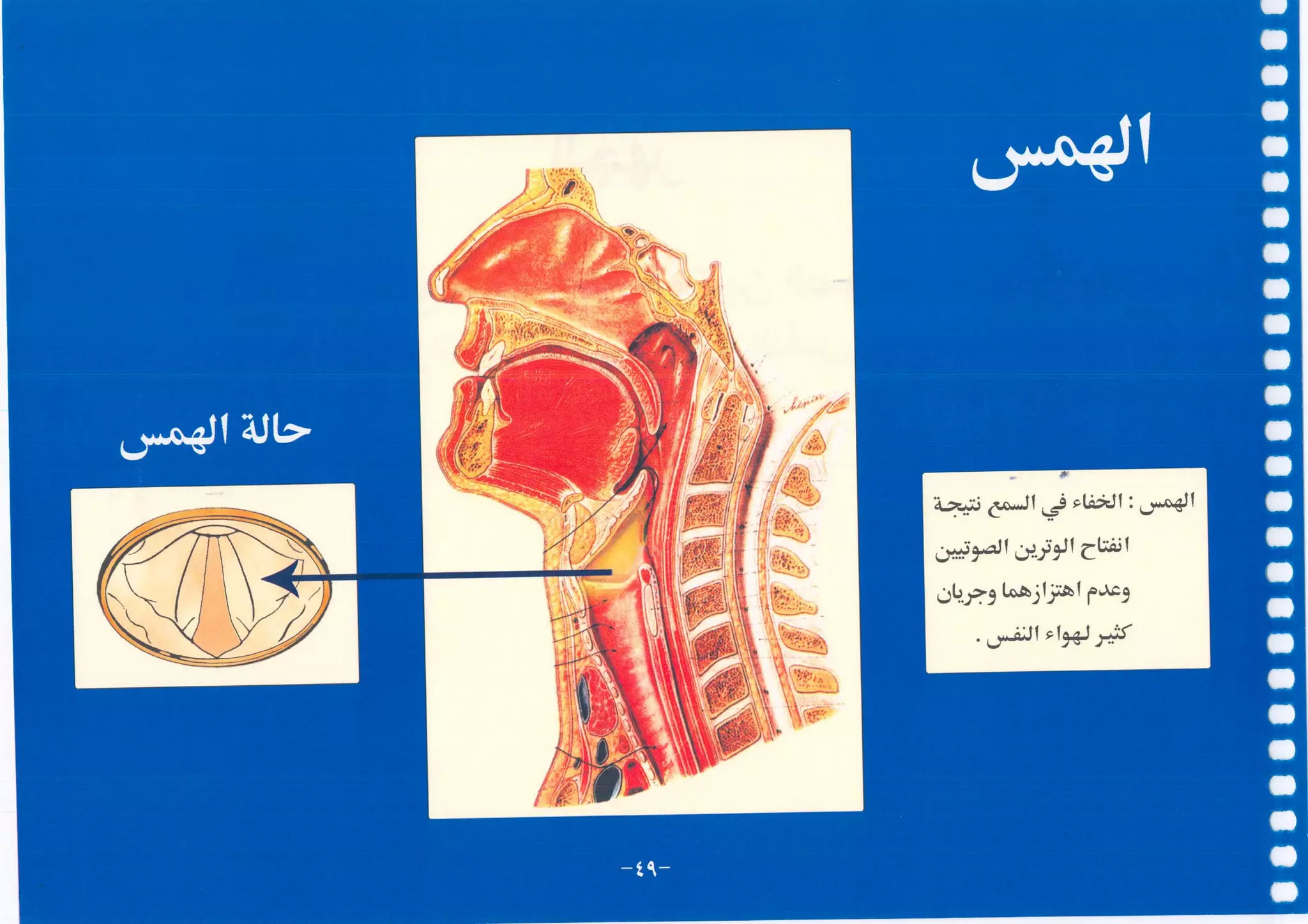 أطلس التجويد