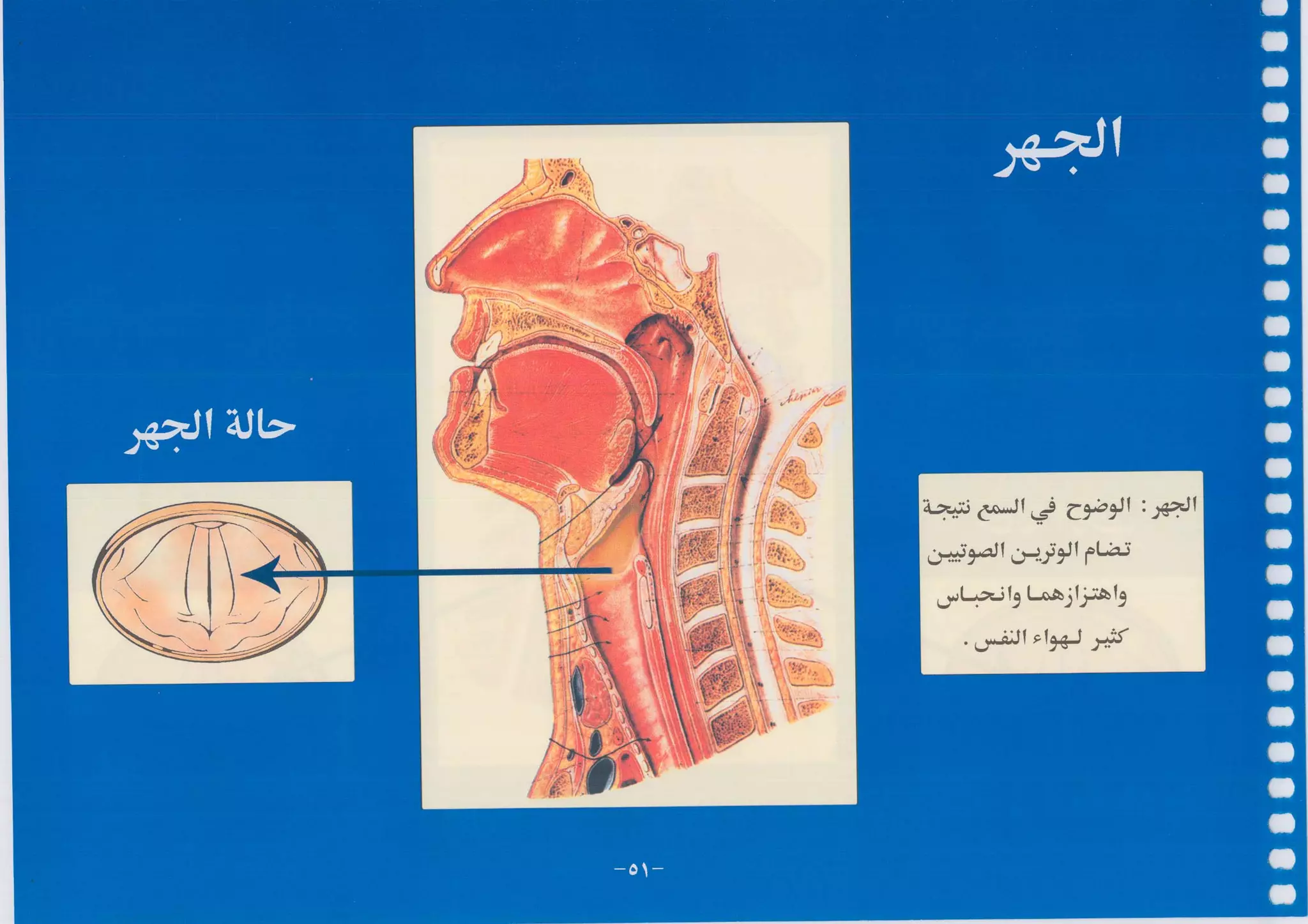 أطلس التجويد