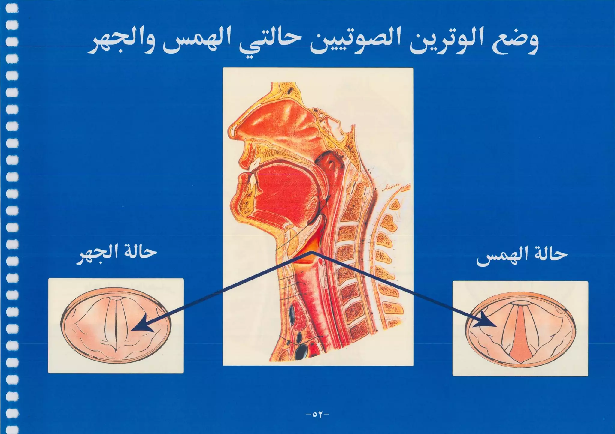 أطلس التجويد