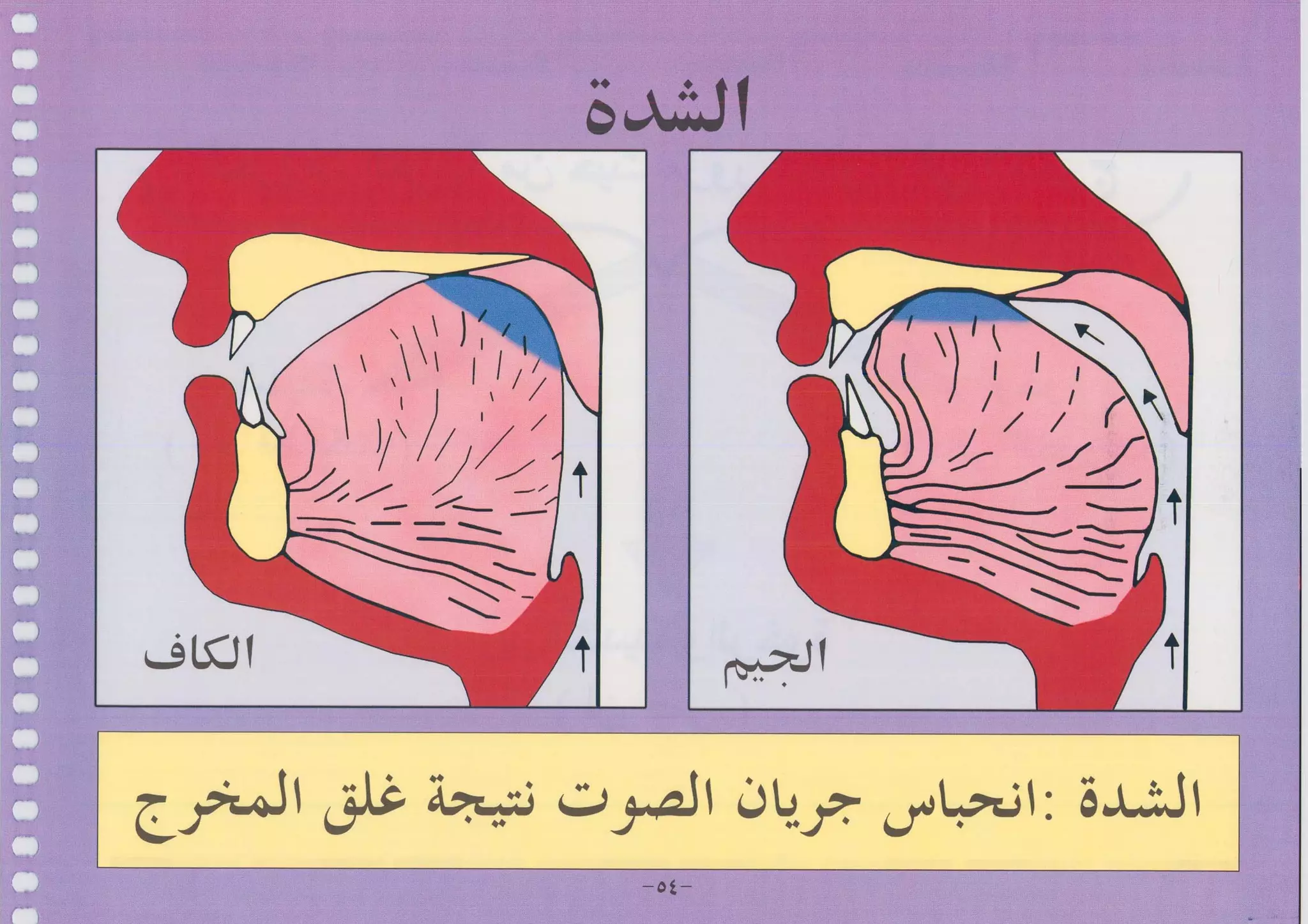 أطلس التجويد