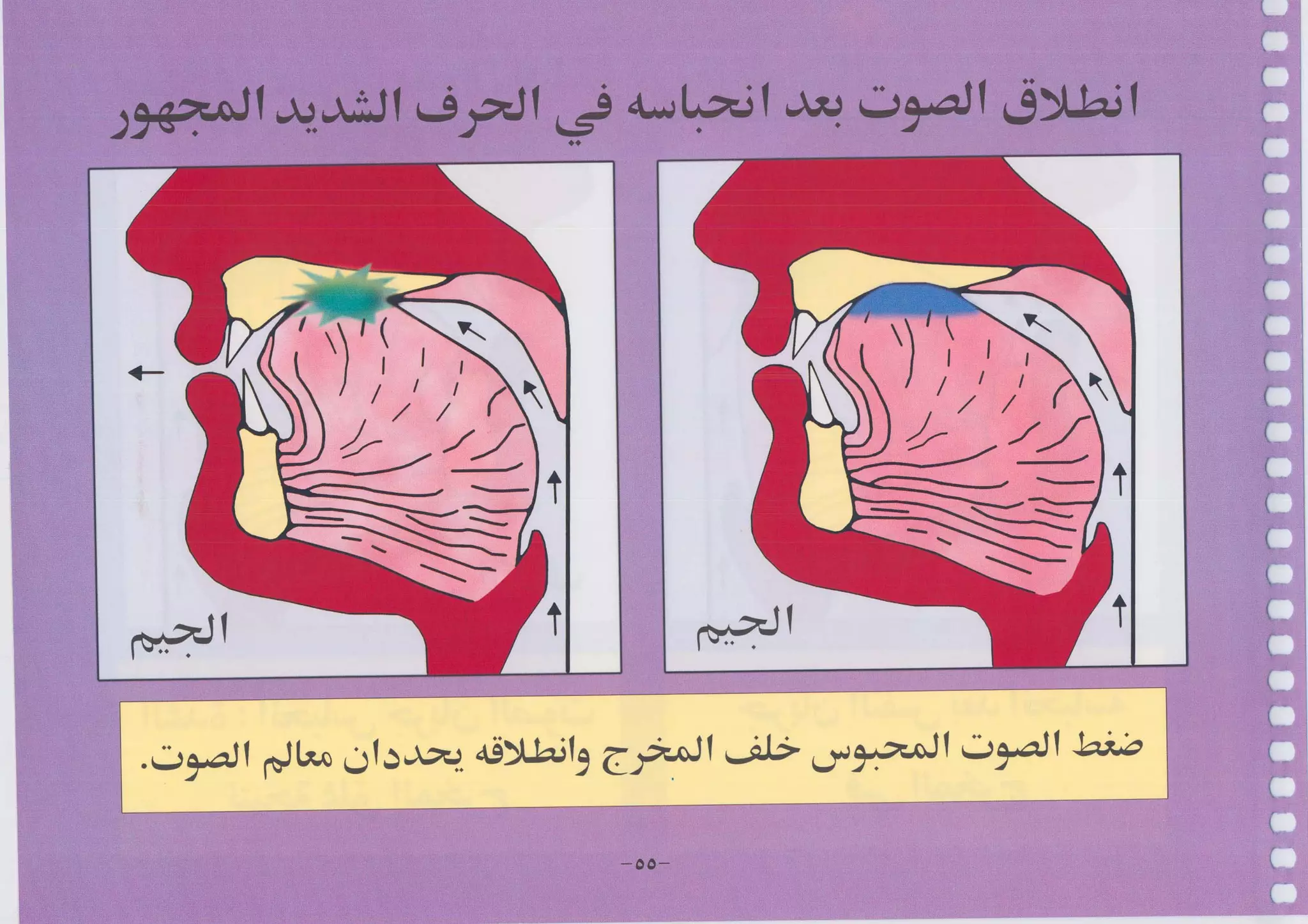 أطلس التجويد
