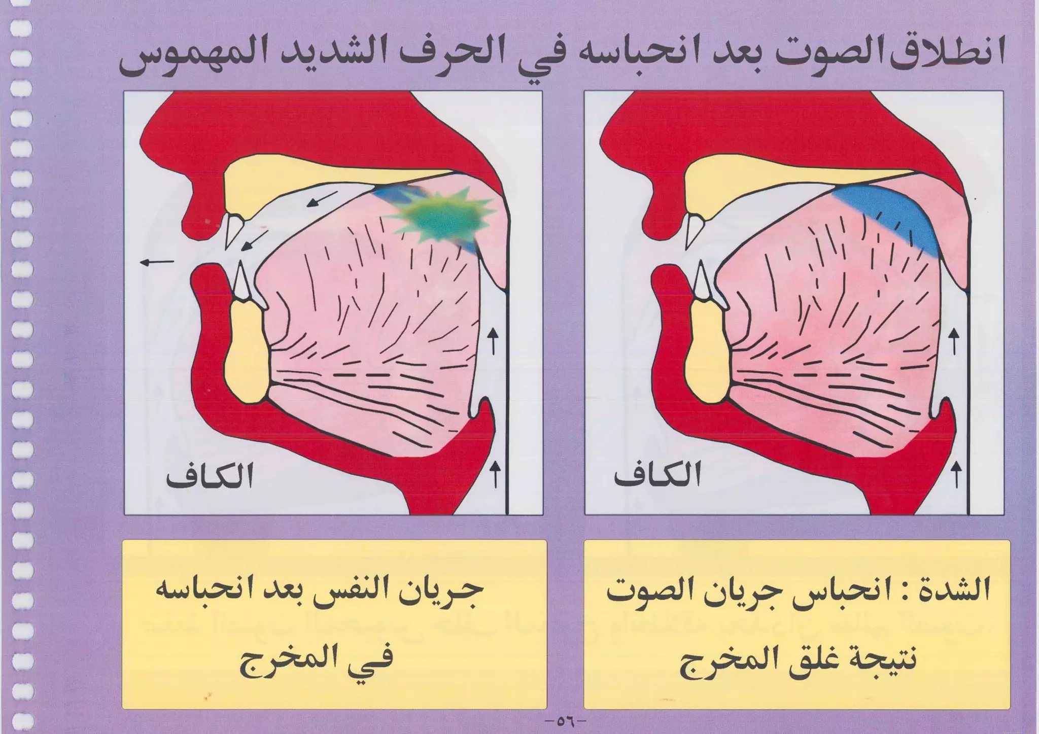 أطلس التجويد