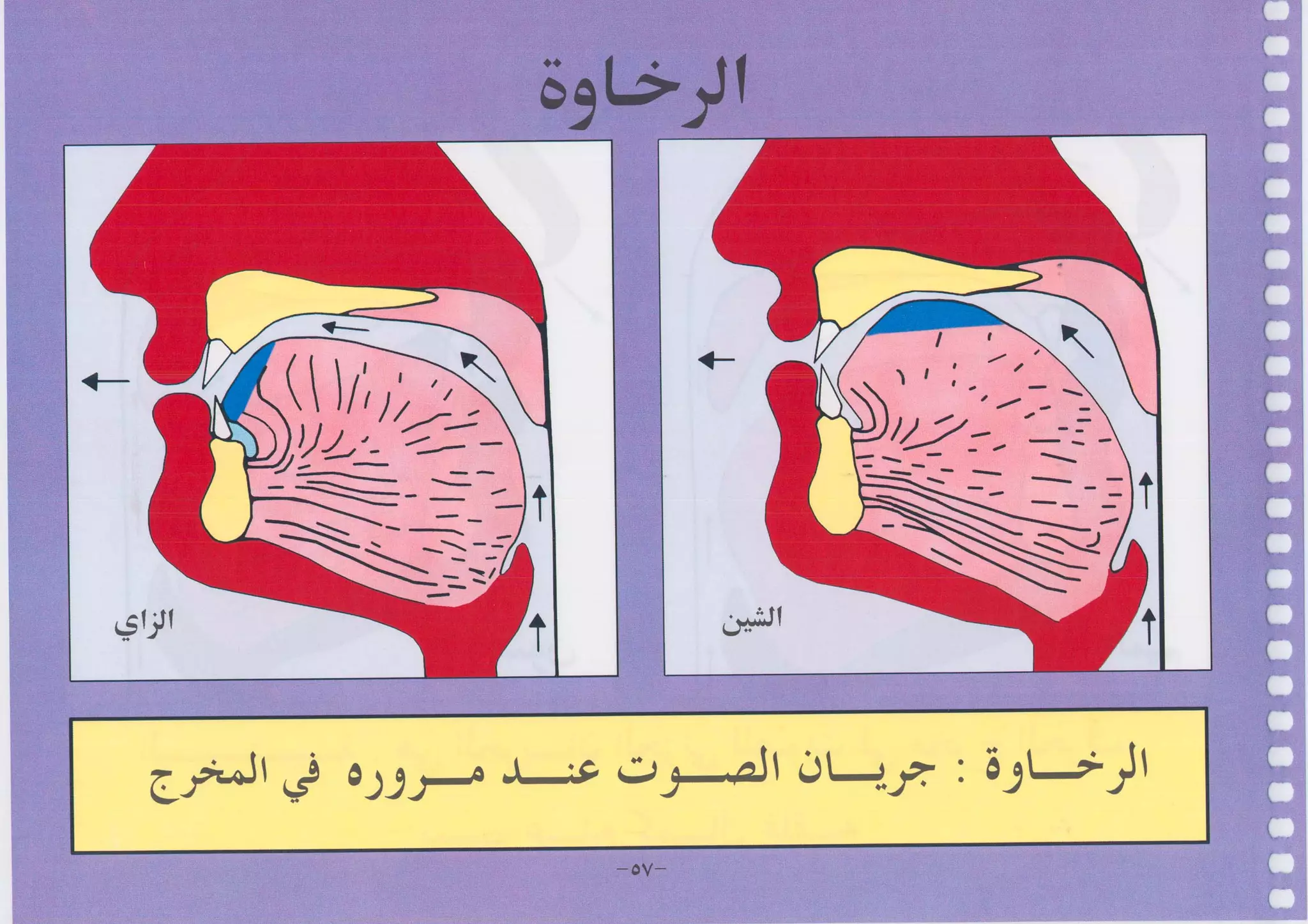 أطلس التجويد