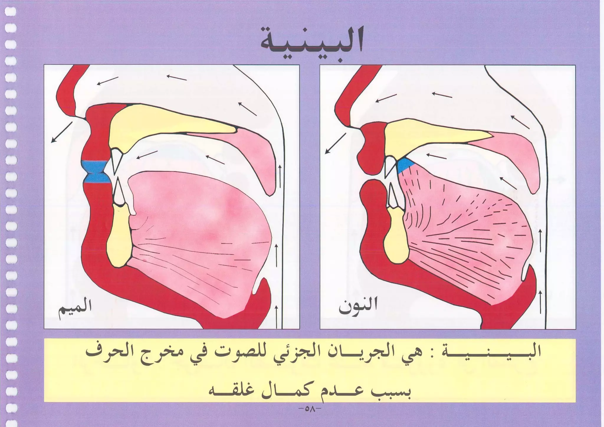 أطلس التجويد