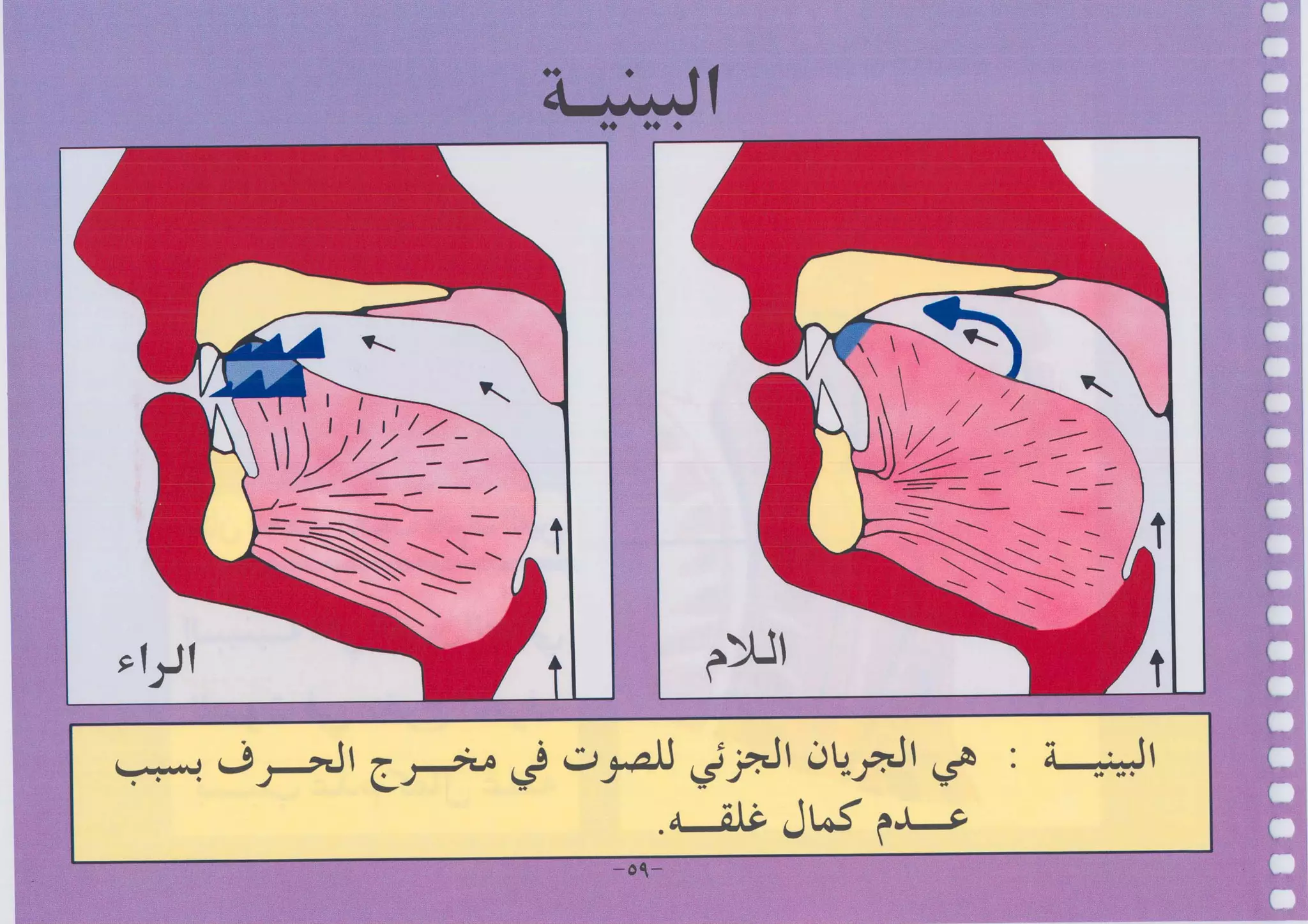 أطلس التجويد