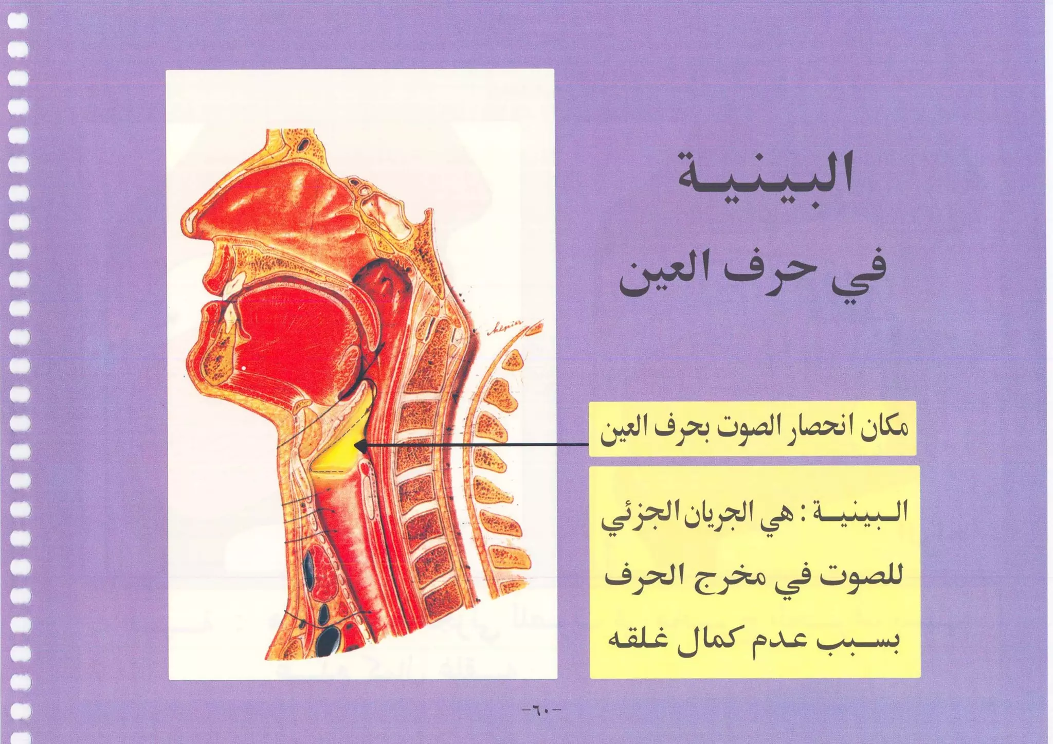 أطلس التجويد