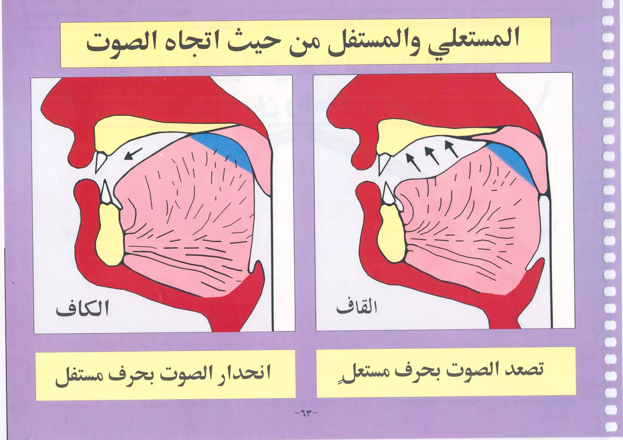 أطلس التجويد