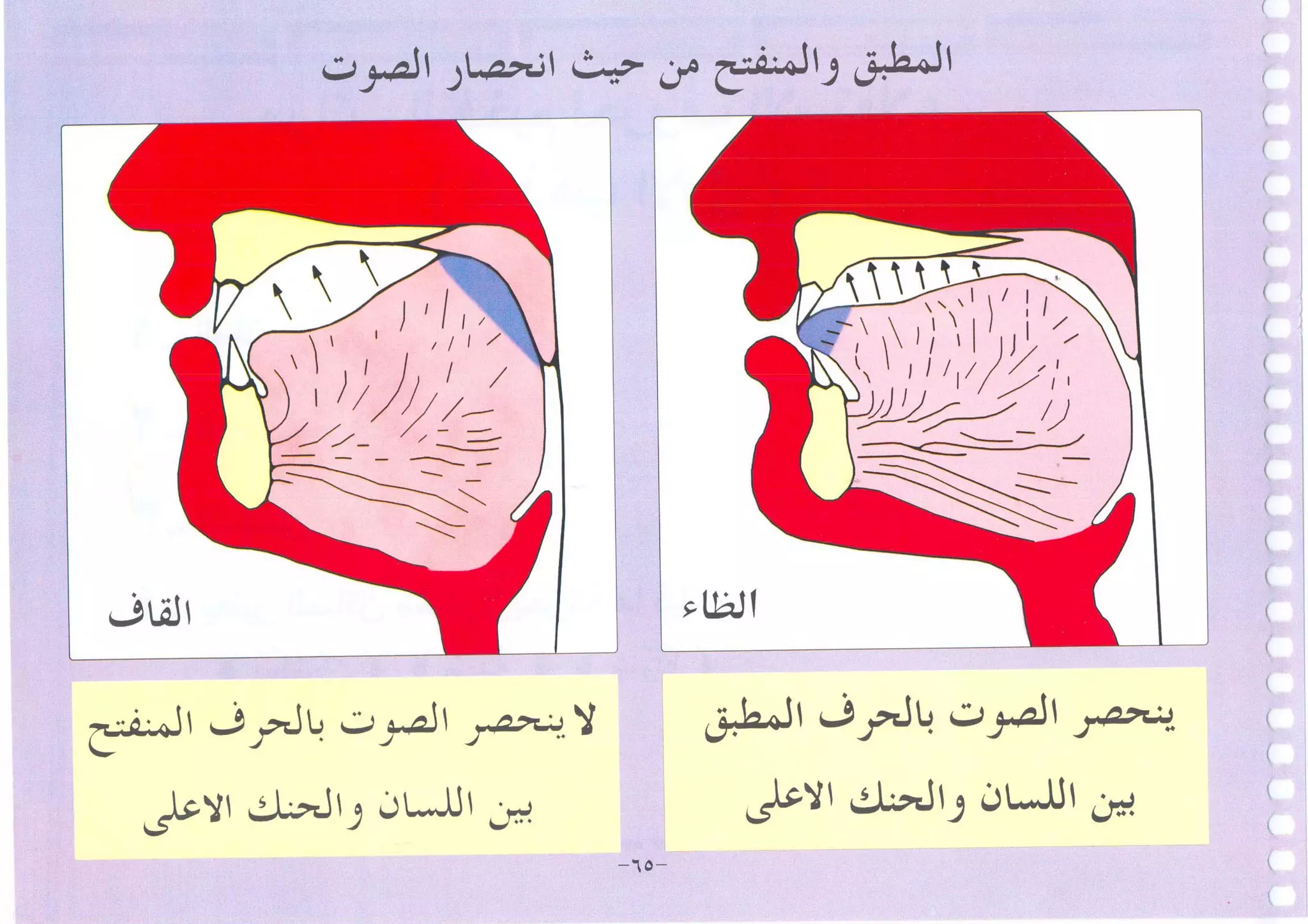 أطلس التجويد