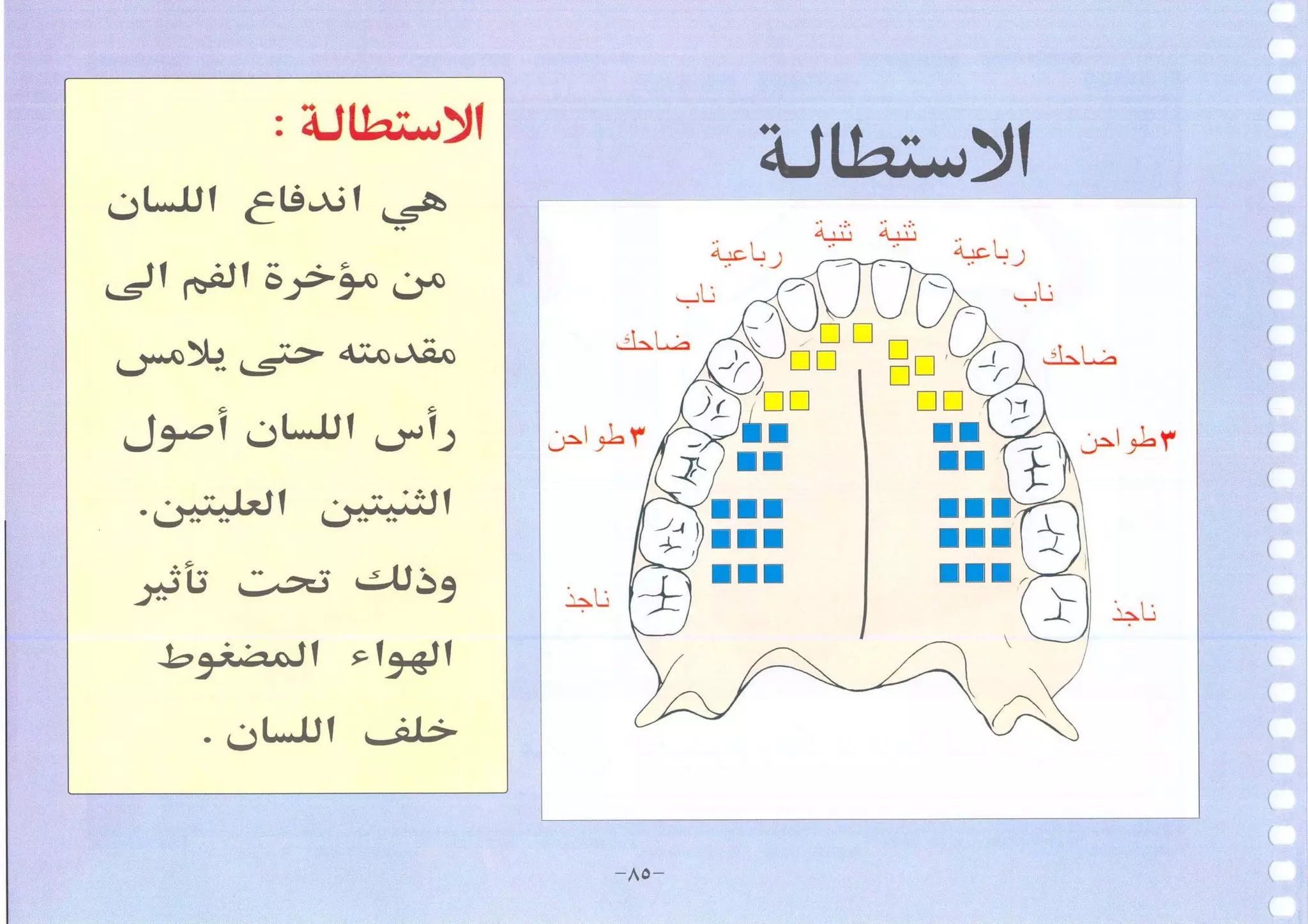 أطلس التجويد