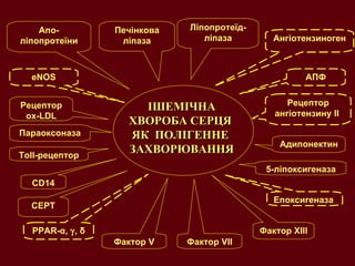 ІШЕМІЧНА ХВОРОБА СЕРЦЯ  ЯК  ПОЛІГЕННЕ  ЗАХВОРЮВАННЯ PPAR- α ,   ,  δ CEPT Печінкова ліпаза Ліпопротеїд-ліпаза Ангіотензиноген A ПФ Адипонектин 5- ліпоксигеназа Фактор  XIII Фактор  V CD14 Рецептор  ox-LDL Параоксоназа Апо-ліпопротеїни eNOS Епоксигеназа   Рецептор ангіотензину ІІ  Фактор  VII Toll- рецептор 