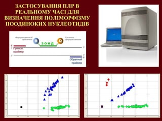 ЗАСТОСУВАННЯ ПЛР В РЕАЛЬНОМУ ЧАСІ ДЛЯ ВИЗНАЧЕННЯ ПОЛІМОРФІЗМУ ПООДИНОКИХ НУКЛЕОТИДІВ 