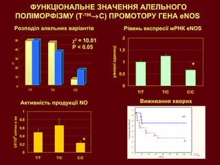 ФУНКЦІОНАЛЬНЕ ЗНАЧЕННЯ АЛЕЛЬНОГО ПОЛІМОРФІЗМУ ( T -786  C)  ПРОМОТОРУ ГЕНА е NOS   χ 2  = 10.01 P < 0.05 Розподіл алельних варіантів Рівень експресії мРНК  eNOS  * Активність продукції  NO Виживання хворих  * 