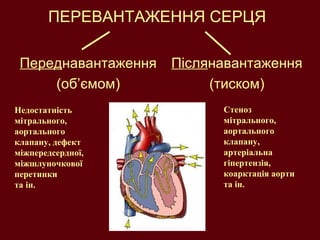 ПЕРЕВАНТАЖЕННЯ СЕРЦЯ Перед навантаження (об ’ ємом) Після навантаження (тиском) Недостатність мітрального, аортального клапану, дефект міжпередсердної, міжшлуночкової перетинки  та ін. Стеноз мітрального, аортального клапану, артеріальна гіпертензія, коарктація аорти  та ін. 