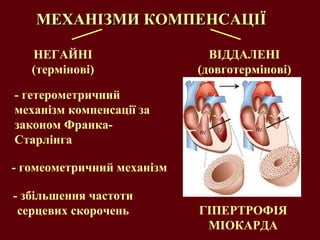 МЕХАНІЗМИ КОМПЕНСАЦІЇ НЕГАЙНІ (термінові) - гетерометричний механізм компенсації за законом Франка-Старлінга - гомеометричний механізм - збільшення частоти серцевих скорочень ГІПЕРТРОФІЯ МІОКАРДА ВІДДАЛЕНІ (довготермінові) 