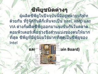 ซีพียูชนิดต่างๆ ผู้ผลิตซีพียูในปัจจุบันนี้มีอยู่หลายบริษัทด้วยกัน ที่รู้จักกันดีก็เห็นจะเป็น  Intel, AMD  และ  VIA  ต่างก็ผลิตซีพียูออกมาแข่งขันกันในตลาดคอมพิวเตอร์เพื่อช่วงชิงส่วนแบ่งของตนให้มากที่สุด ซีพียูที่มีผู้นิยมใช้มากที่สุดเป็นซีพียูของ  Intel  แผงวงจรหลัก (Main Board) 