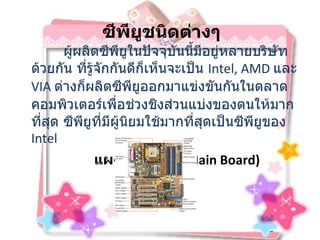 ซีพียูชนิดต่างๆ ผู้ผลิตซีพียูในปัจจุบันนี้มีอยู่หลายบริษัทด้วยกัน ที่รู้จักกันดีก็เห็นจะเป็น  Intel, AMD  และ  VIA  ต่างก็ผลิตซีพียูออกมาแข่งขันกันในตลาดคอมพิวเตอร์เพื่อช่วงชิงส่วนแบ่งของตนให้มากที่สุด ซีพียูที่มีผู้นิยมใช้มากที่สุดเป็นซีพียูของ  Intel  แผงวงจรหลัก (Main Board) 