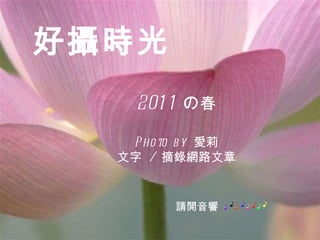 齊白石小傳 好攝時光 2011 の 春 Photo by  愛莉 文 字  /  摘錄網路文章 請開音響 