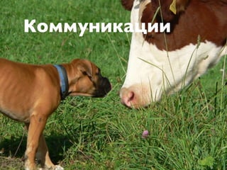 Коммуникации
 