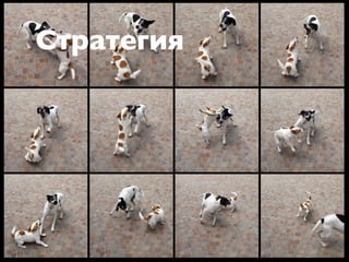 Стратегия
 