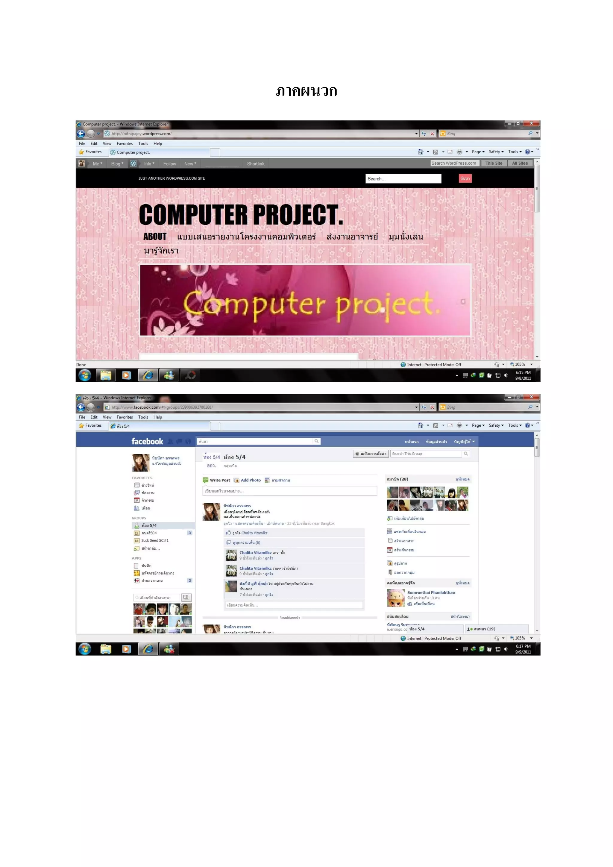 ภาคผนวก
 