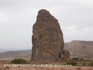 巨大な１枚岩のようなクラス、メソッド。初心者に多い非OOなコードです。
 