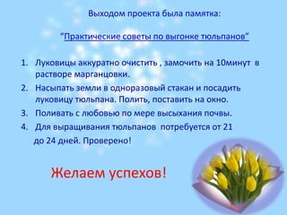 На 18-ый день(28 февраля), после третьего листа показался и бутон!Ещё через 2 дня (2 марта) на бутоне появился  окрас  красного цвета.