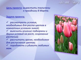   Литературное чтение