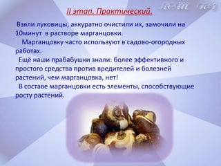    рассчитать время, необходимое для распускания цветов;