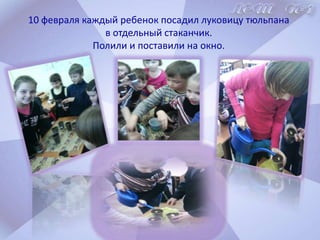    порадовать и удивить любимых мам.Как всё началось?  Мы долго думали, чем нам удивить и порадовать наших мам?      И решили посадить в классе тюльпаны, вырастить ихна окне и подарить мамам на 8 Марта.     Но мы не знали, как это сделать.      И ещё, нам приходилось держать всё в секрете!