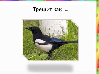 Трещит как …