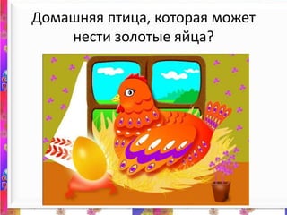 Домашняя птица, которая может нести золотые яйца?