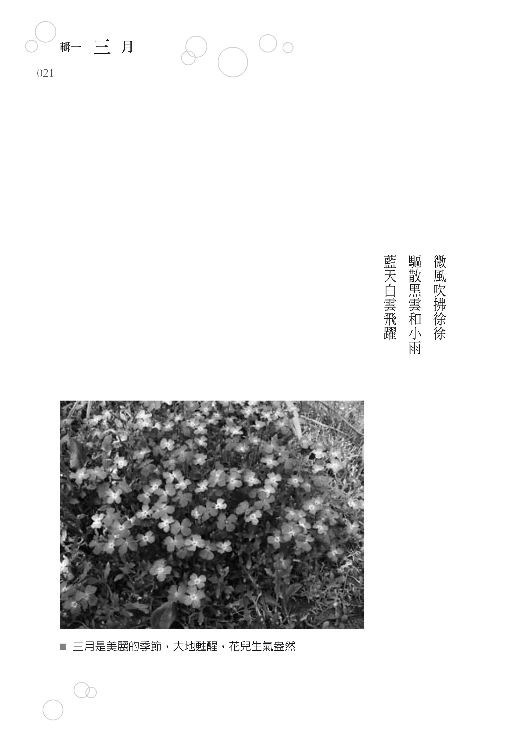 輯一   三   月
021




                              藍   驅   微
                              天   散   風
                              白   黑   吹
                              雲   雲   拂
                              飛   和   徐
                              躍   小   徐
                                  雨




       三月是美麗的季節，大地甦醒，花兒生氣盎然
 