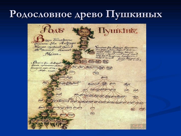 Схема тем пушкина. Генеалогическое Древо Пушкиных Ганнибалов. Родословное дерево Пушкина Александра Сергеевича. Родословная Пушкина Александра Сергеевича Древо. Генеалогическое Древо Пушкина Александра Сергеевича.