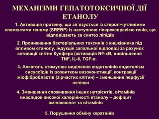 4. Зменшення споживання інших нутрієнтів, вітамінів внаслідок високої калорійності етанолу – дефіцит амінокислот та вітамінів МЕХАНІЗМИ ГЕПАТОТОКСИЧНОЇ ДІЇ  ЕТАНОЛУ 1.  Активація протеїну, що зв ` язу ється із стерол-чутливими елементами геному ( SREBP)  із наступною гіперекспресією генів, що відповідають за синтез ліпідів 2. Проникнення бактеріальних токсинів з кишківника під впливом етанолу, індукція запальної відповіді за рахунок активації клітин Купфера (активація NF-κB, вивільнення TNF, IL-6, TGF-α.  3. Алкоголь стимулює виділення ендотелінів ендотелієм сисусоїдів із розвитком вазоконстикції, контракції міофібробластів (зірчастих клітин) – зменшення перфузії печінки 5. Порушення обміну кератинів 
