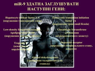 Dopamine receptor (порушення емоціонального стану, депресія)  miR-9  ЗДАТНА ЗАГЛУШУВАТИ НАСТУПНІ ГЕНИ: Hepatocyte nuclear factor 3, 6 (порушення транскрипції генів) Low-density lipoprotein receptor, Apolipoprotein B-100 (порушення ліпідного обміну) Eukaryotic translation initiation factor 2A (порушення трансляції білків) Glutathione S-transferase (зміншення антиоксидантного захисту) Troponin T  (алкогольна кардіоміопатія) Alcohol dehydrogenase (зменшення толерантності до етанолу) 