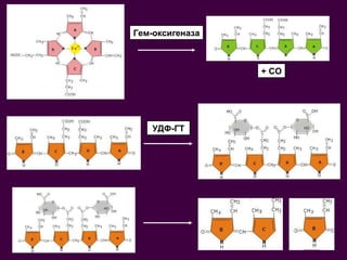 + CO Гем-оксигеназа УДФ-ГТ 