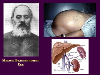 Микола Володимирович Екк 