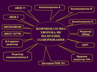 ЖОВЧНОКАМ ` ЯНА ХВОРОБА ЯК ПОЛІГЕННЕ ЗАХВОРЮВАННЯ A поліпопротеін А A поліпопротеін В A поліпопротеін Е Цитохром Р450 7А1 Рецептор холецистокініну А  АВС G5/ АВС G8 АВС B  11 АВС B  4 β -3 адрено-рецептор РецепторЛПНЩ Ядерний рецептор  1H4 С EPT АВСС7 (С FTR) 