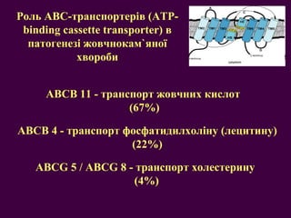 Роль АВС-транспортерів (ATP-binding cassette transporter) в патогенезі жовчнокам ` яно ї хвороби АВС B  11   - транспорт   жовчних кислот  (67%) АВС B  4   - транспорт   фосфатидилхоліну (лецитину) (22%) АВС G 5 /  АВС G 8  - транспорт   холестерину  (4%) 