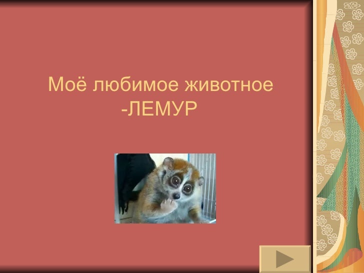 Мое любимое животное карбюратор
