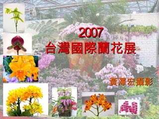 2007 台灣國際蘭花展 黃澤宏攝影 