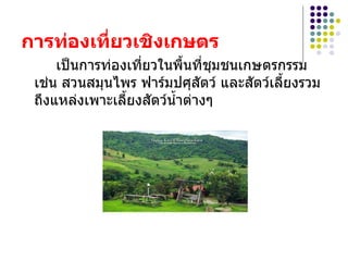 การท่องเที่ยวเชิงเกษตร เป็นการท่องเที่ยวในพื้นที่ชุมชนเกษตรกรรมเช่น สวนสมุนไพร ฟาร์มปศุสัตว์ และสัตว์เลี้ยงรวมถึงแหล่งเพาะเลี้ยงสัตว์น้ำต่างๆ 