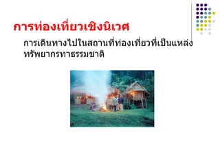 การท่องเที่ยวเชิงนิเวศ   การเึϸȨางไปในสถานที่ท่องเที่ยวที่๶ป็Ȩหล่งทรัพยากรทาธรรมชาติ  
