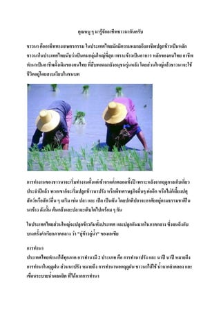 คุณหนู ๆ มารู้จักอาชีพชาวนากันครับ

ชาวนา คืออาชีพทางเกษตรกรรม ในประเทศไทยมักมีความหมายถึงอาชีพปลูกข้าวเป็นหลัก
ชาวนาในประเทศไทยนับว่าเป็นคนกลุ่มใหญ่ที่สุด เพราะข้าวเป็นอาหาร หลักของคนไทย อาชีพ
ทานาเป็นอาชีพดั้งเดิมของคนไทย ที่สืบทอดมายังอนุชนรุ่นหลัง โดยส่วนใหญ่แล้วชาวนาจะใช้
ชีวิตอยู่โดยสงบเงียบในชนบท




การทางานของชาวนาจะเริ่มทางานตั้งแต่เช้าจรดค่าตลอดทั้งปี เพราะหลังจากฤดูกาลเก็บเกี่ยว
ประจาปีแล้ว พวกเขาก็จะเริ่มปลูกข้าวนาปรัง หรือพืชเศรษฐกิจอื่นๆ ต่ออีก หรือไม่ก็เลี้ยงปศุ
สัตว์หรือสัตว์อื่น ๆ เสริม เช่น ปลา และ เป็ด เป็นตัน โดยปกติปลาจะอาศัยอยู่ตามธรรมชาติใน
นาข้าว ดังนั้น ต้นกล้าและปลาจะเติบโตไปพร้อม ๆ กัน

ในประเทศไทยส่วนใหญ่จะปลูกข้าวกันทั้งประเทศ และปลูกกันมากในภาคกลาง ซึ่งจนถึงกับ
บางครั้งคาเรียกภาคกลาง ว่า "อู่ข้าวอู่น้า" ของเอเซีย

การทานา
ประเทศไทยทานาได้ทุกภาค การทานามี 2 ประเภท คือ การทานาปรัง เเละ นาปี นาปี หมายถึง
การทานาในฤดูฝน ส่วนนาปรัง หมายถึง การทานานอกฤดูฝน ชาวนาได้ใช้ น้าจากลาคลอง เเละ
เขื่อนระบายน้าผลผลิต ที่ได้จากการทานา
 