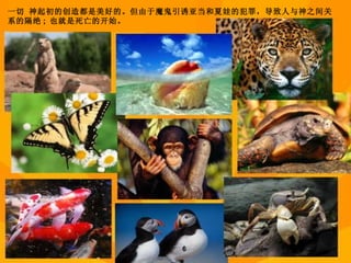 1:20   　神說：「水要多多滋生有生命的物；要有雀鳥飛在地面以上，天空之中。」 1:21   　神就造出大魚和水中所滋生各樣有生命的動物，各從其類；又造出各樣飛鳥，各從其類。　神看著是好的。 1:22   　神就賜福給這一切，說：「滋生繁多，充滿海中的水；雀鳥也要多生在地上。」 1:23   有晚上，有早晨，是第五日。 1:24   　神說：「地要生出活物來，各從其類；牲畜、昆蟲、野獸，各從其類。」事就這樣成了。 1:25   於是　神造出野獸，各從其類；牲畜，各從其類；地上一切昆蟲，各從其類。　神看著是好的。 6 一切 神起初的创造都是美好的。但由于魔鬼引诱亚当和夏娃的犯罪，导致人与神之间关系的隔绝 ;  也就是死亡的开始。 