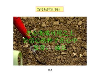 18-7 当转眼仰望耶稣 把心变成可用之土 让信心的种子在心中 发芽， 成长 