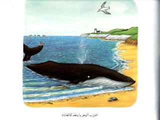 הלויתן והשבלול