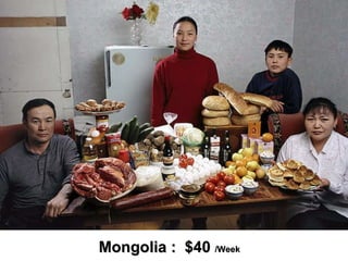 Mongolia :  $40  /Week 